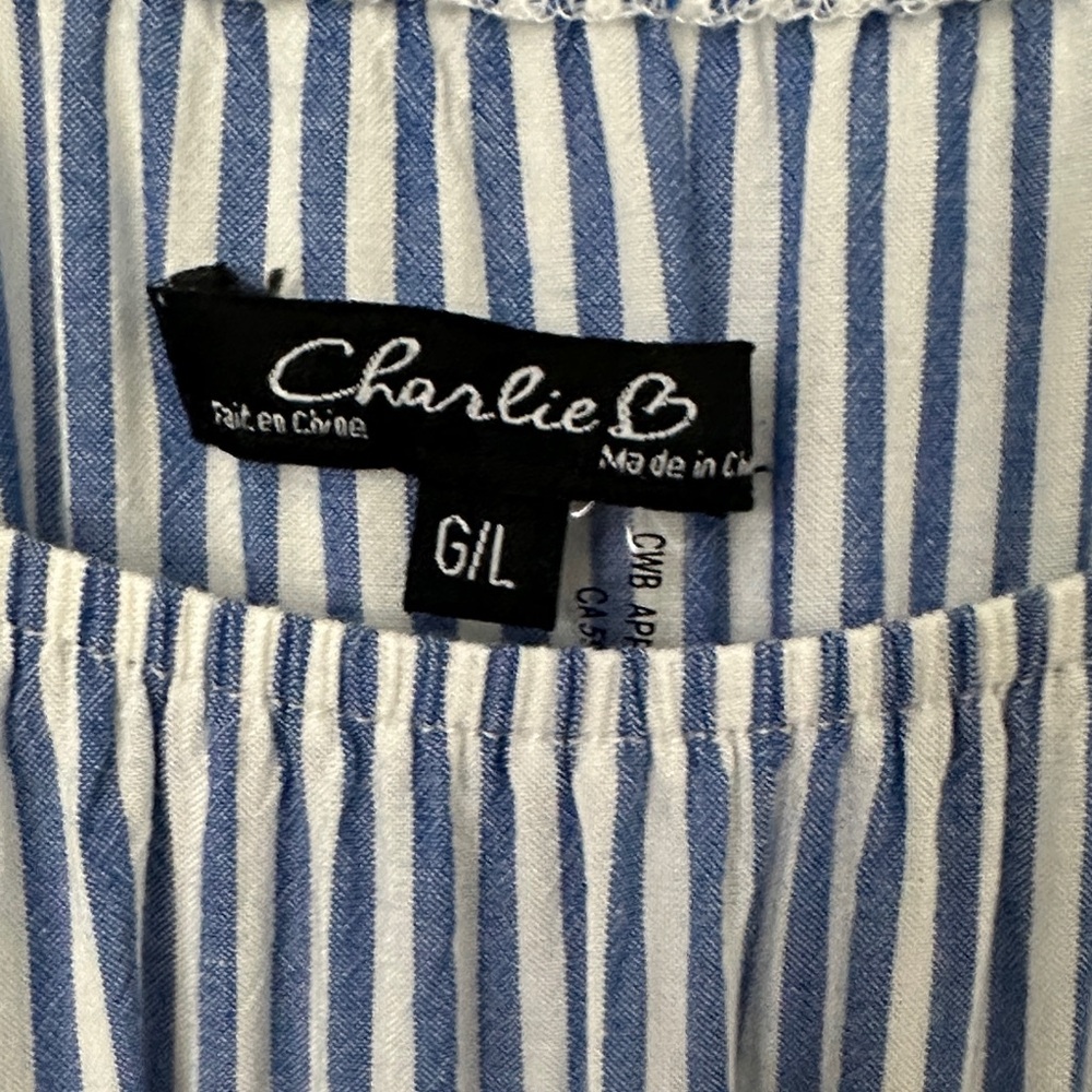 Charlie B Striped Shirt in Blue and White